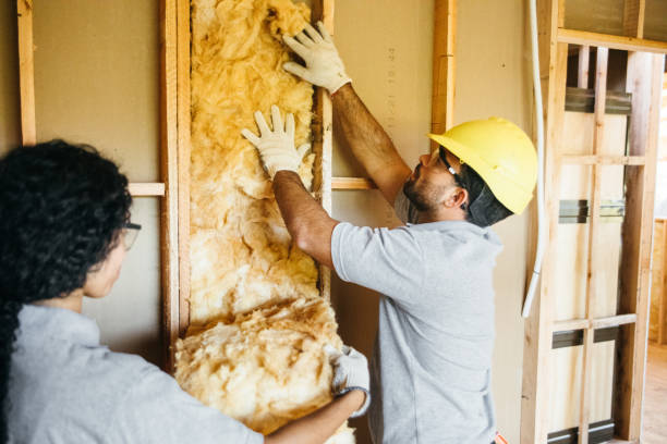 Best Insulation Replacement Services  in Matta, WA